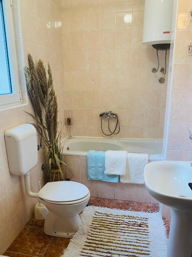 Miomir Perazic Apartments Petrovac Luaran gambar