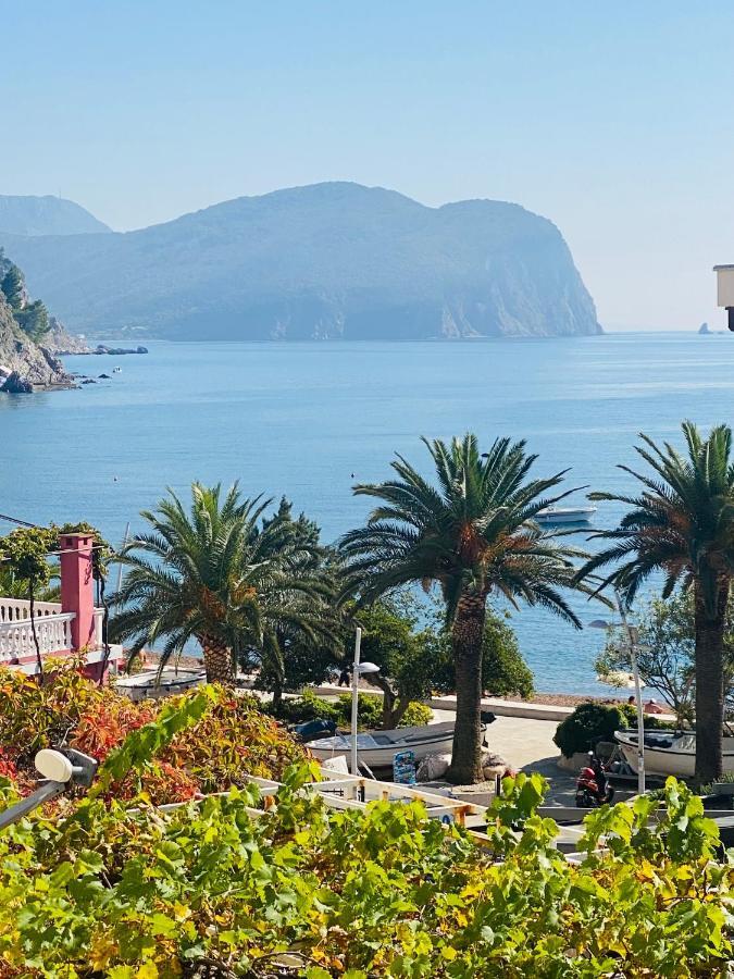 Miomir Perazic Apartments Petrovac Luaran gambar